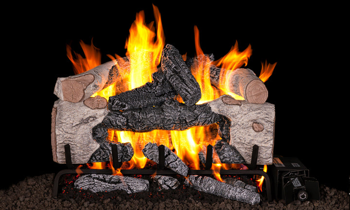 Real Fyre Charred Cinder Birch Gas Log Set